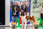 Ch. EW. Napoleon od Strážců hor - BEST IN GROUP