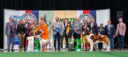 Ch. EW. Napoleon od Strážců hor - RESERVE BEST IN SHOW