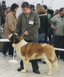 Gábina Jurastic Bernaros