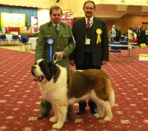 Ch. Artur z Mnichovského polesí