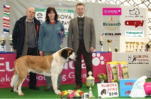 Agáta z Oldřistlouk - CAC, Klubový vítěz, BOB, BIS