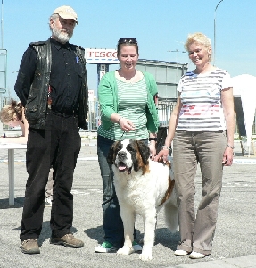 JCh. Chantal z Dobruské stáje