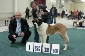 Ch. Dixie od Strážců hor - výborná 1, CAC, CACIB, Vítěz střední a východní Evropy 2010, BOB!!!