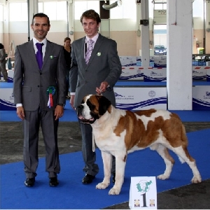 Ch. Dallas od Strážců hor - CAC, Evropský klubový vítěz, BOB