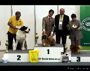 Soutěž o nejlepšího juniora