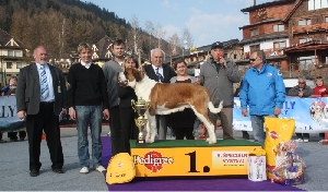 Elisabeth od Strážců hor - Best In Show