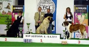 Ch. Great Agáta od Strážců hor - BIG 3