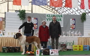 JCh. LORD od Strážců hor - Klubový vítěz, BOB, BEST IN SHOW