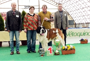 Ch. KEVIN z Dobruské stáje - Best In Show