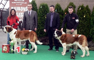 ICh. Italy od Strážců hor - krátkosrtý BOB + BIS a Ch. Alma vom Gnöd - dlouhosrstý BOB