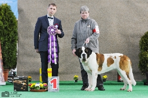 BEST IN SHOW - Mountbarry Bernadette