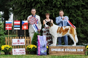 BEST IN SHOW a JUNIOR BEST IN SHOW Lumelaviin Briliant Kind Of Heart