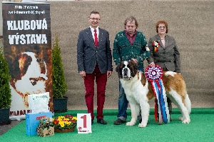 Ch. Paulo z Dobruské stáje - BEST IN SHOW
