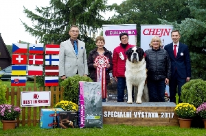 BEST IN SHOW - BIE´S HODJA