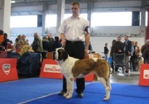 Camilla od Strážců hor - nový Junior šampion Rakouska