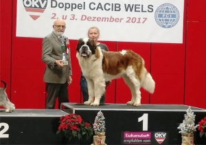 Diego von Güttler - BEST IN GROUP