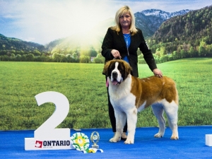 JCh. Eva od Strážcůhor - Junior BIG 2