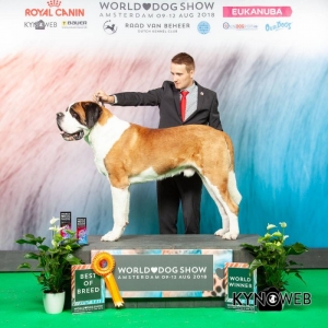 JCh. Danger od Strážců hor - Světový vítěz 2018, Best Of Breed