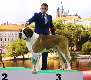 JCh. JWW. WW. Danger od Strážců hor - Best Of Breed & Best In Group 3