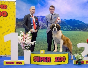 I AM SAINT BERNARD OD STRÁŽCŮ HOR - 1. místo Nejlepší dorost