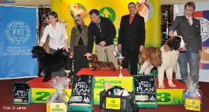 Bernegarden´s Xtarling v soutěži o nejlepší dorost