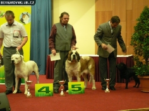 Ch. Eliška od Natálky - 5. místo v II. FCI skupině