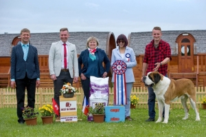 ICh. WW. EW. JCh. JWW. Dangera od Strážců hor - BEST IN SHOW