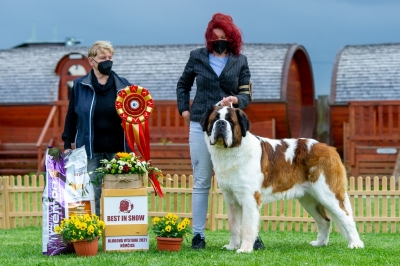 ICh. Fridolín ze Statku od Dobré vody - BEST IN SHOW