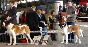 Dallas a Dixie od Strážců hor