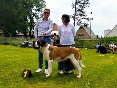 JCh. Lola od Strážců hor - Best Of Breed, Best In Group 4