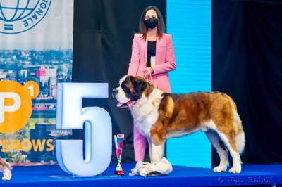 Ch. Guardian Angel Eliščino království - BIG 5