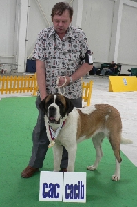 Dixie od Strážců hor