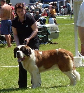 Bardotka z Férova dvora (CAC, Národní vítěz)